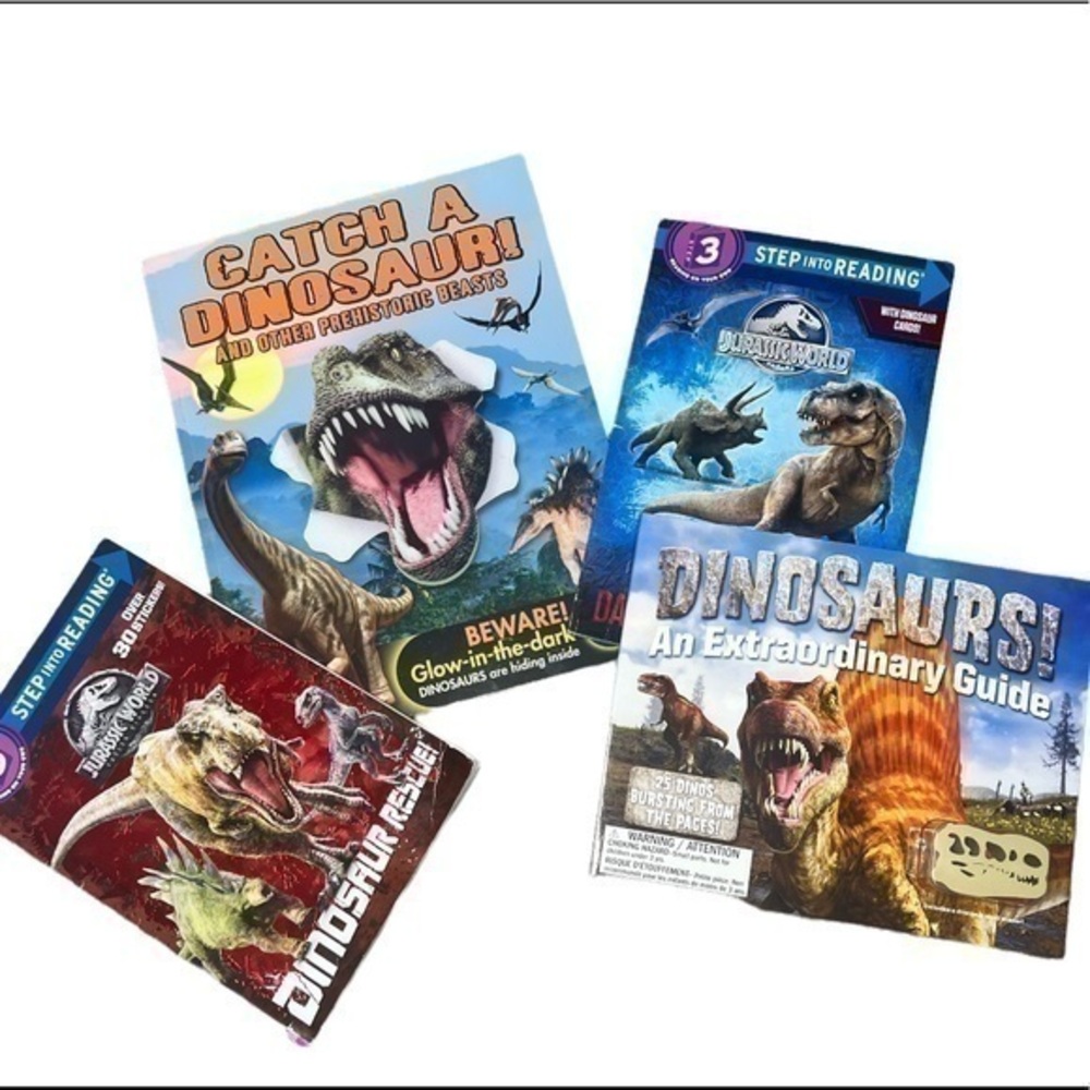 Set of 4 Dinosaur books
